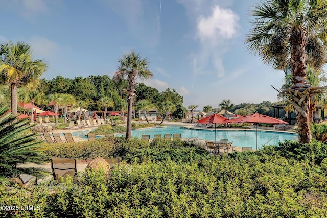 10 Anchor Bay Ct, Bluffton, SC 29910 - view of community pool