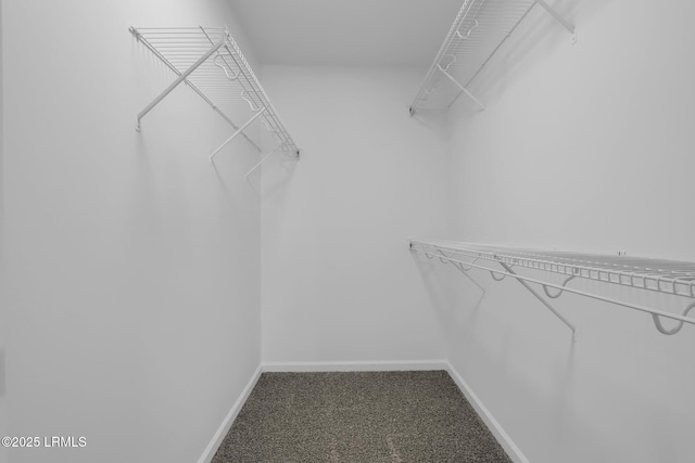 spacious closet with carpet floors