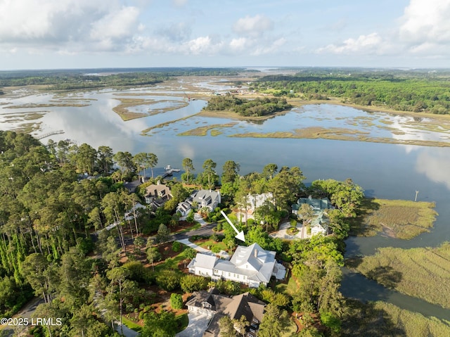 1448 Gleasons Landing Dr, Saint Helena Island, SC 29920 - aerial view with a water view and a view of trees