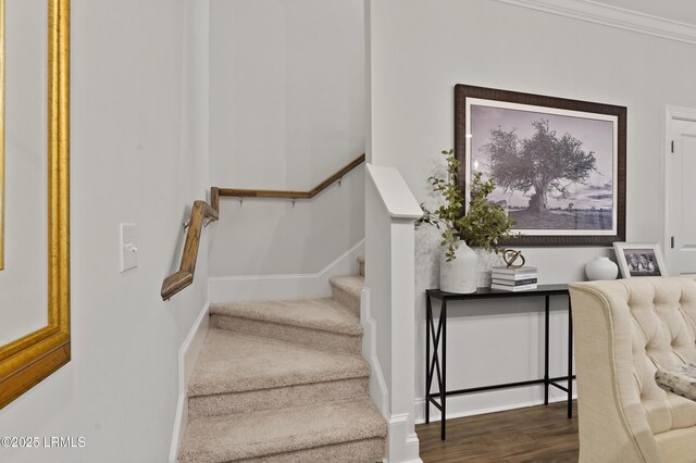 272 Bleeker St S, Bluffton, SC 29910