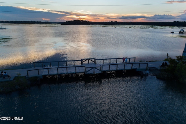 water view with a dock