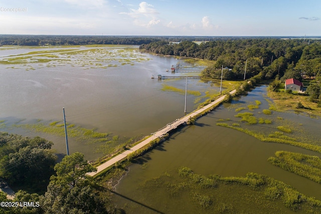 birds eye view of property featuring a forest view and a water view