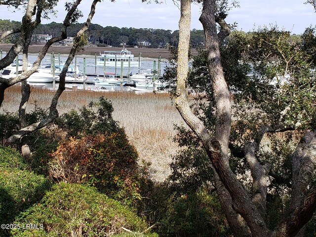 70 Helmsman Way Unit 1410, Hilton Head Island, SC 29928 - view of dock
