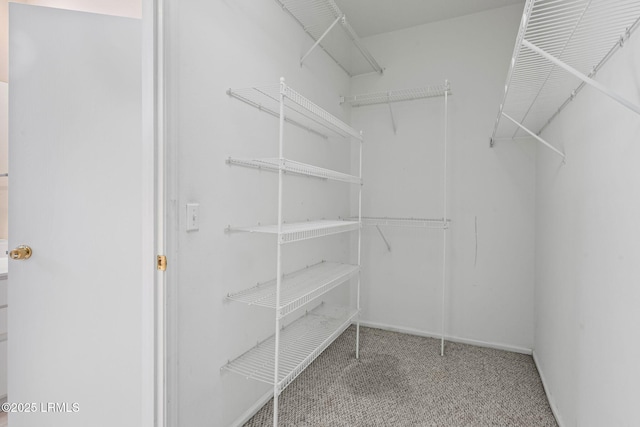 spacious closet with carpet