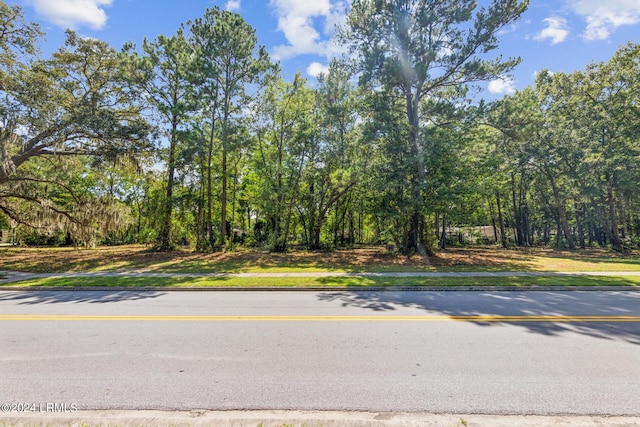 124 Goethe Rd, Bluffton, SC 29910 - photo 33