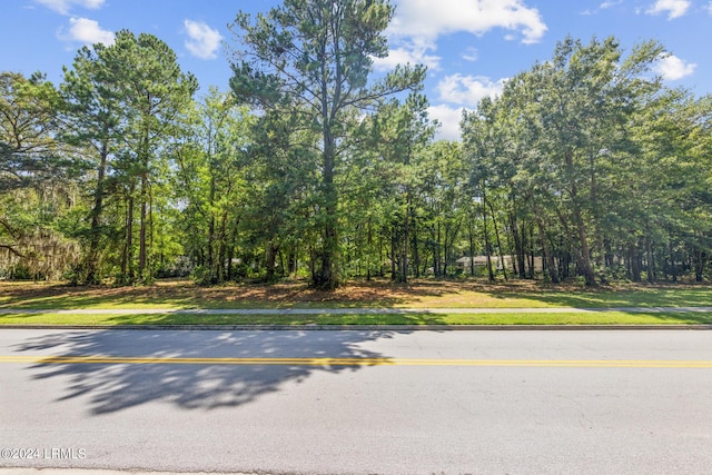 124 Goethe Rd, Bluffton, SC 29910 - photo 34