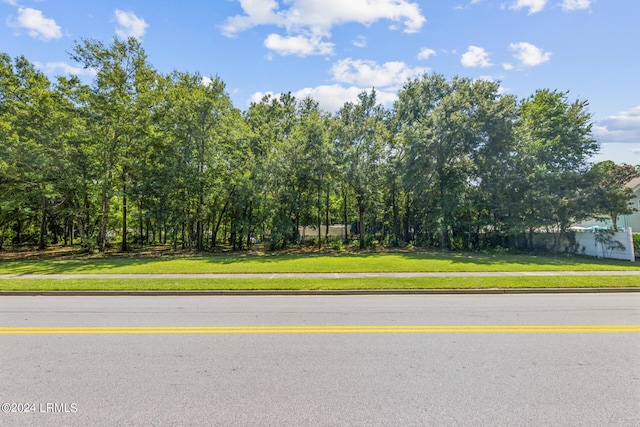 124 Goethe Rd, Bluffton, SC 29910 - photo 39