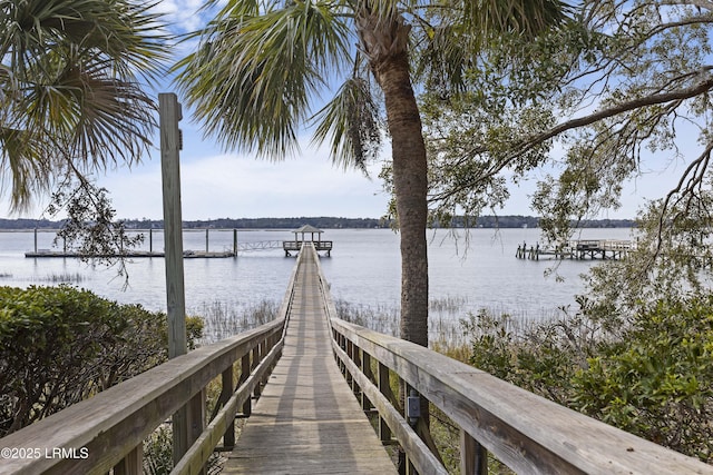 dock area with a water view