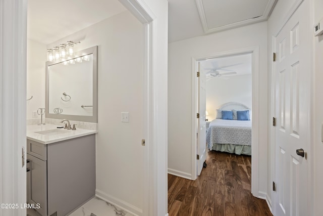 bathroom with vanity and hardwood / wood-style floors