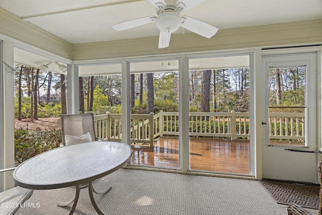 sunroom / solarium with ceiling fan and a healthy amount of sunlight