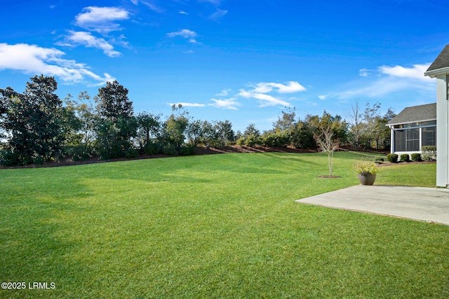 view of yard featuring a patio area