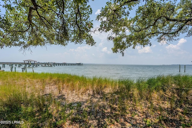 25 Vista Blvd E, Saint Helena Island, SC 29920 - photo 54
