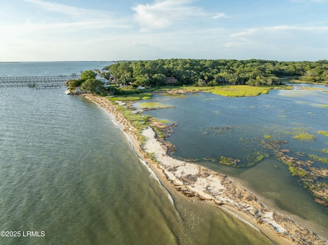 25 Vista Blvd E, Saint Helena Island, SC 29920 - photo 49