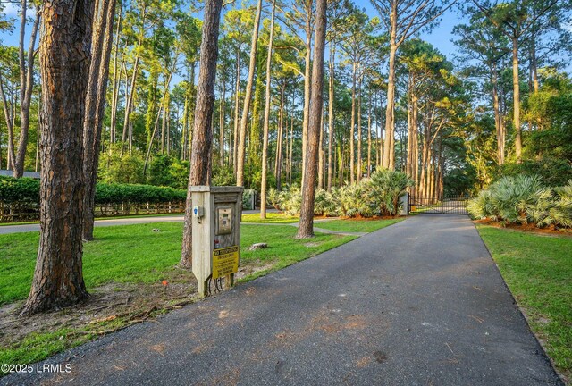 25 Vista Blvd E, Saint Helena Island, SC 29920 - photo 56