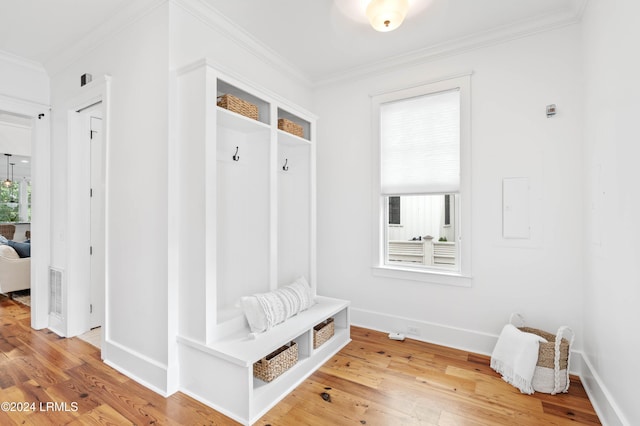 mudroom with hardwood / wood-style flooring, crown molding, and a wealth of natural light