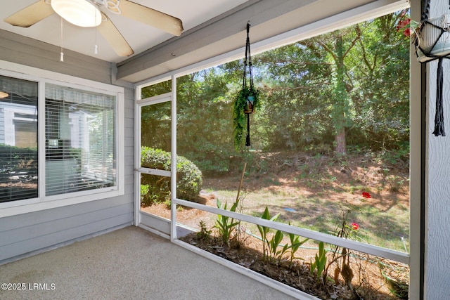 44 Padgett Dr, Bluffton, SC 29909 - photo 25
