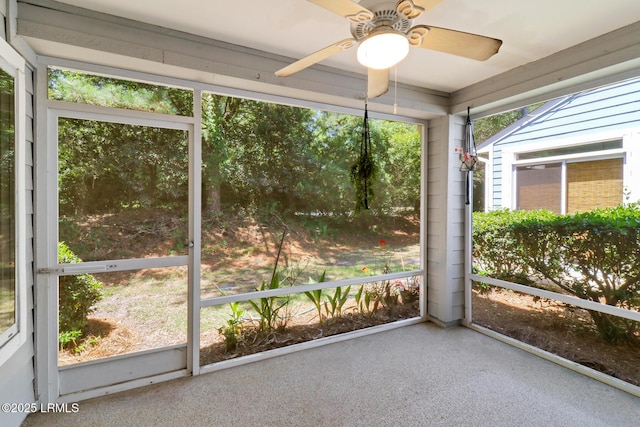 44 Padgett Dr, Bluffton, SC 29909 - photo 24