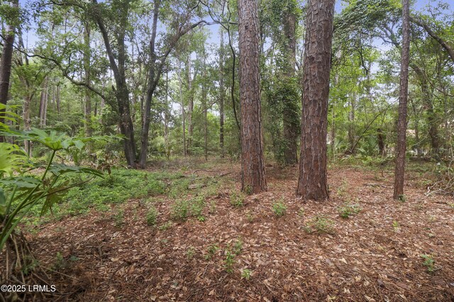 7 Stillwater Ct, Hilton Head Island, SC 29926 - view of wooded area