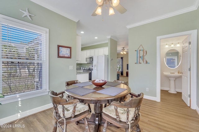 dining room with crown molding, light hardwood / wood-style flooring, and ceiling fan