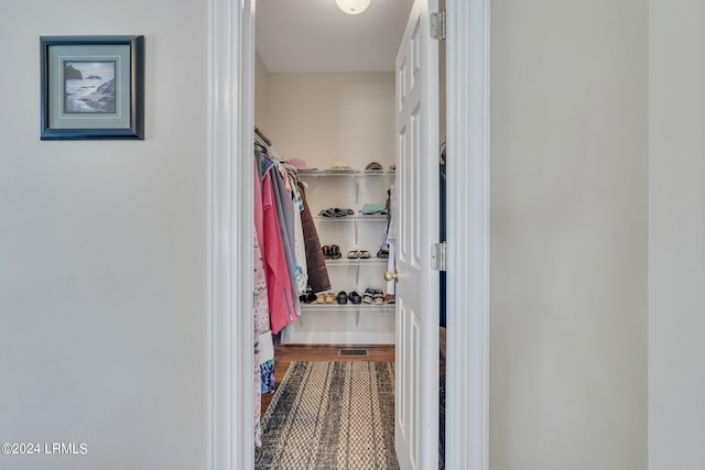 view of spacious closet