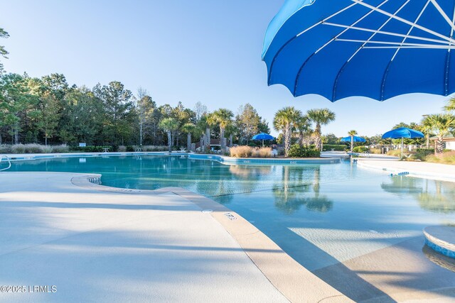 214 Lombards Mill Ln, Okatie, SC 29909 - view of pool