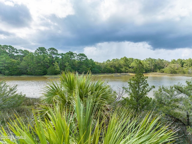27 Ashton Dr, Saint Helena Island, SC 29920 - photo 5