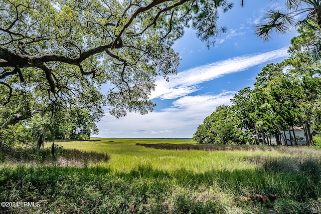 view of local wilderness featuring a rural view