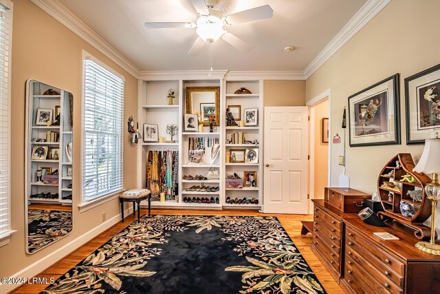 living area featuring crown molding, plenty of natural light, ceiling fan, and light hardwood / wood-style flooring