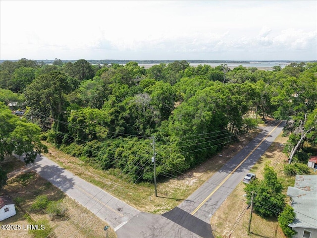 1602 Palmetto St, Beaufort, SC 29902