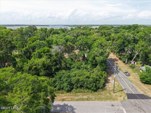 1602 Palmetto St, Beaufort, SC 29902