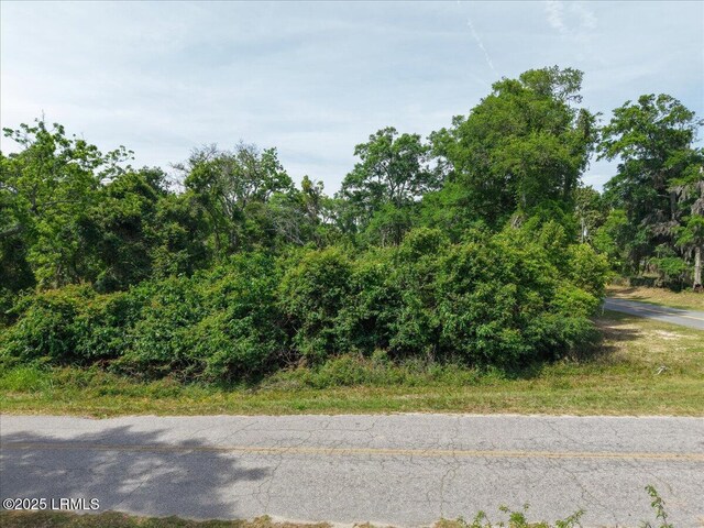 1602 Palmetto St, Beaufort, SC 29902