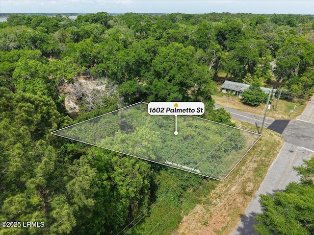 1602 Palmetto St, Beaufort, SC 29902
