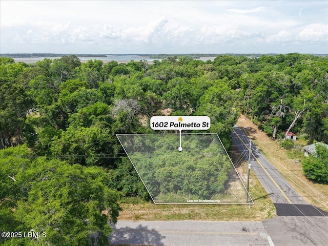 1602 Palmetto St, Beaufort, SC 29902
