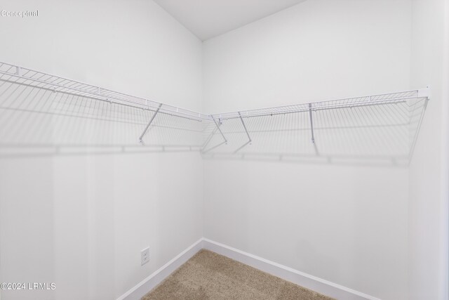 47 Silver St Unit 102, Ridgeland, SC 29936 - walk in closet featuring carpet floors