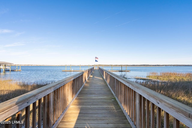 dock area with a water view