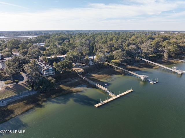 aerial view featuring a water view and a view of trees