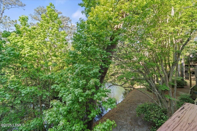 view of local wilderness