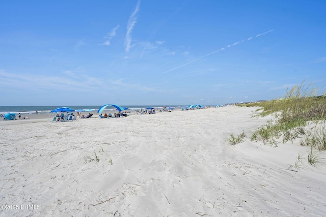 372 Tarpon Blvd, Fripp Island, SC 29920 - photo 45