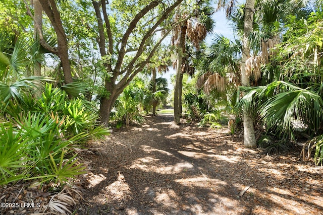 372 Tarpon Blvd, Fripp Island, SC 29920 - photo 44