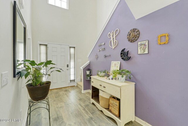 foyer with a towering ceiling and light hardwood / wood-style flooring