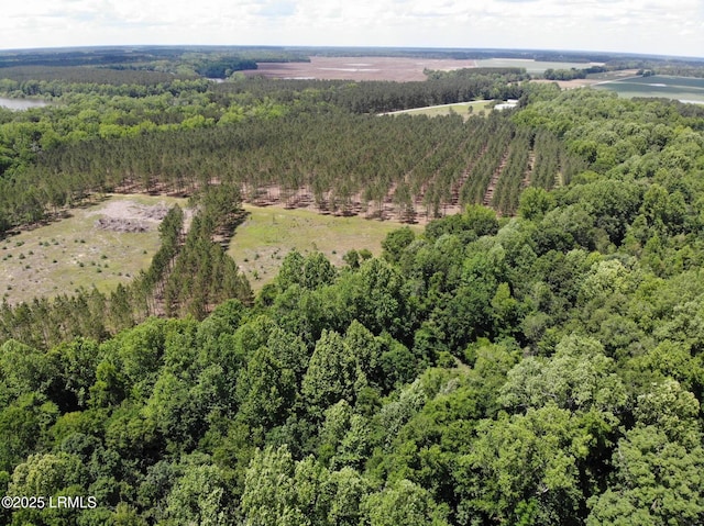 TBD Hampton Ave, Fairfax, SC 29827