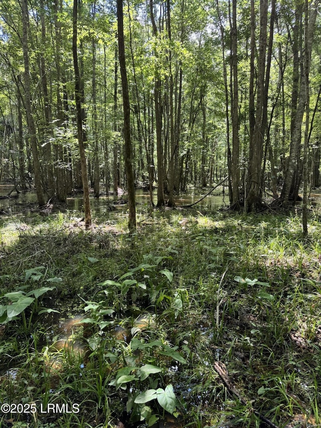TBD Hampton Ave, Fairfax, SC 29827