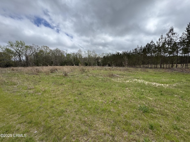 TBD Hampton Ave, Fairfax, SC 29827