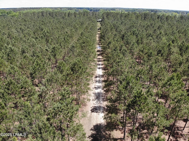 TBD Hampton Ave, Fairfax, SC 29827