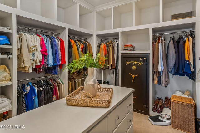 spacious closet with light colored carpet