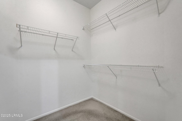 spacious closet with carpet floors