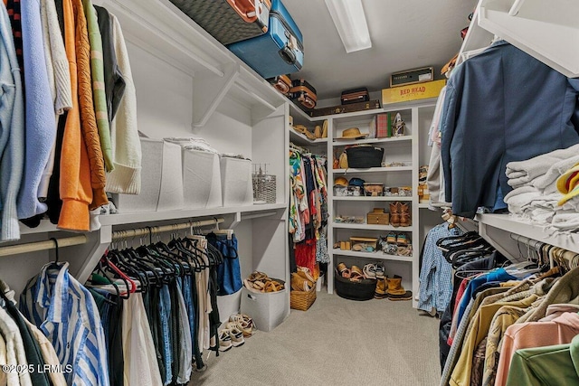 17 Audubon Rd, Ladys Island, SC 29907 - walk in closet with carpet flooring