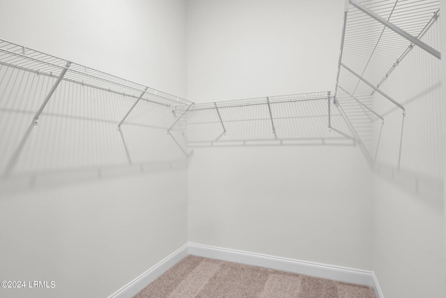 walk in closet with carpet