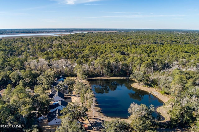 41 Fairfield Rd, Beaufort, SC 29907 - drone / aerial view featuring a forest view and a water view