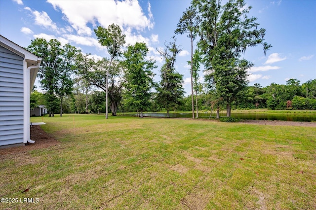 41 Fairfield Rd, Beaufort, SC 29907 - view of yard